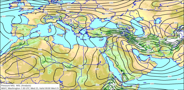 Surface 00Z 25/06/2025 10:06